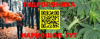 скорость Бердск