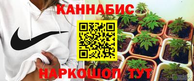 скорость Бердск